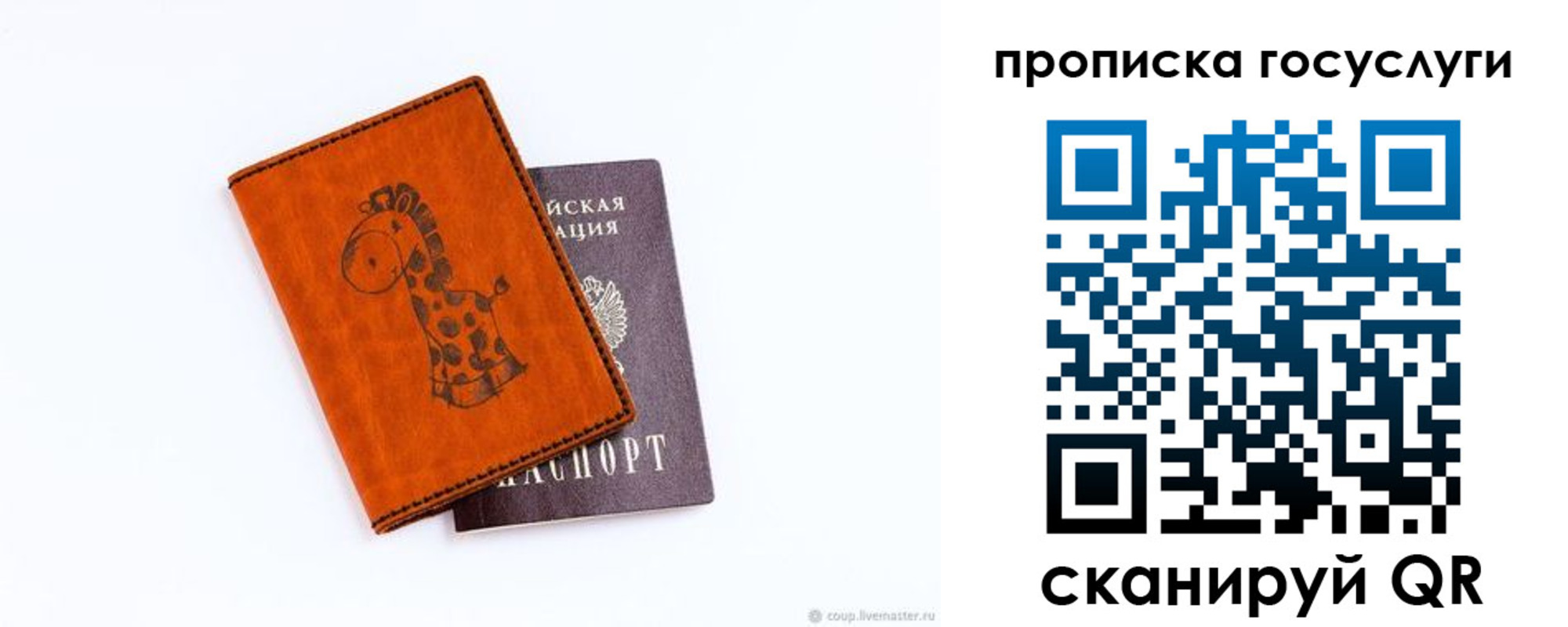 прописка законно в Фокино